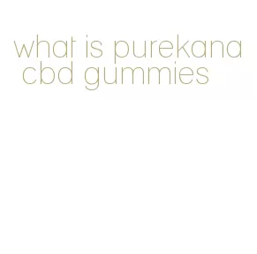 what is purekana cbd gummies