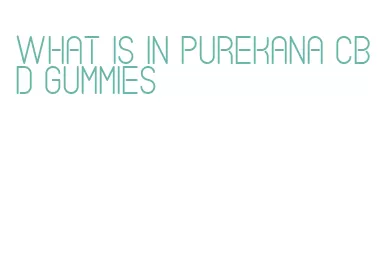 what is in purekana cbd gummies