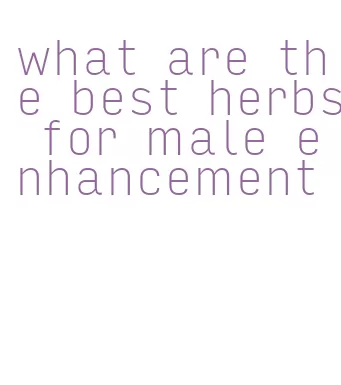 what are the best herbs for male enhancement