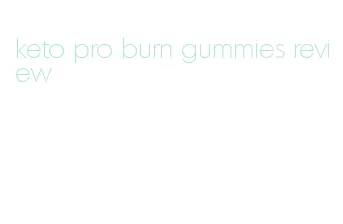 keto pro burn gummies review