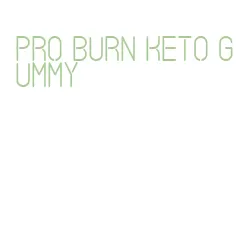 pro burn keto gummy