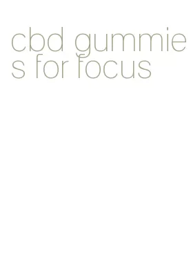 cbd gummies for focus