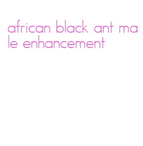 african black ant male enhancement