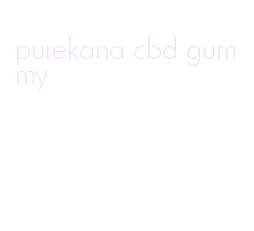 purekana cbd gummy