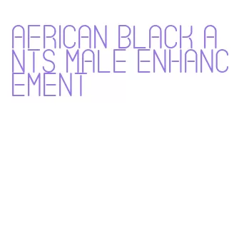 african black ants male enhancement