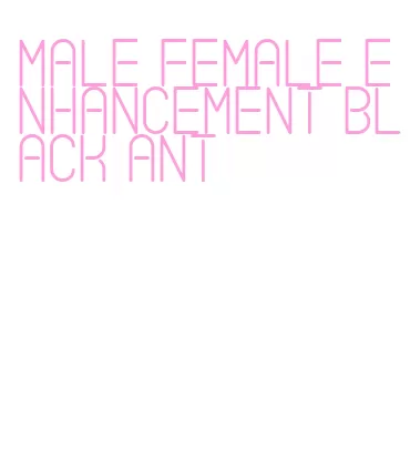 male female enhancement black ant