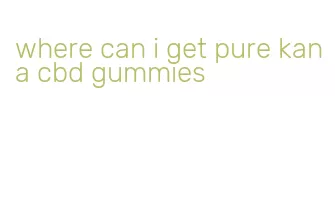 where can i get pure kana cbd gummies