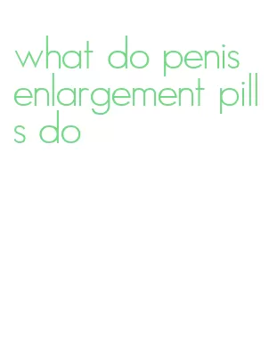 what do penis enlargement pills do