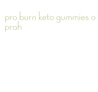 pro burn keto gummies oprah