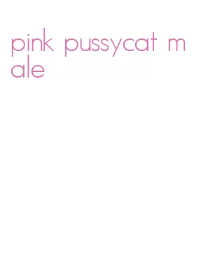 pink pussycat male