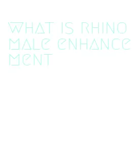 what is rhino male enhancement