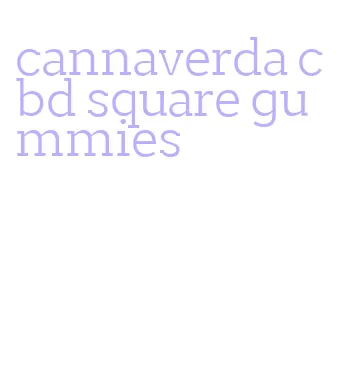 cannaverda cbd square gummies