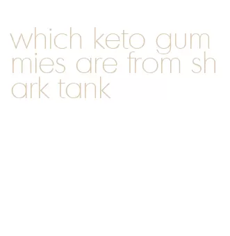 which keto gummies are from shark tank