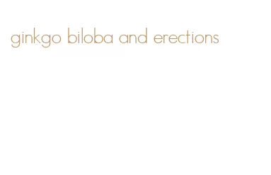 ginkgo biloba and erections