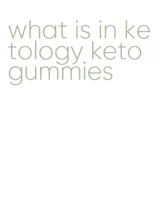 what is in ketology keto gummies