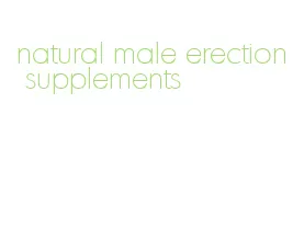 natural male erection supplements