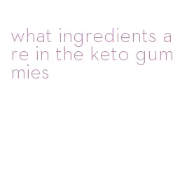 what ingredients are in the keto gummies