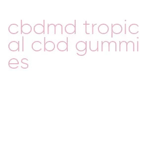 cbdmd tropical cbd gummies