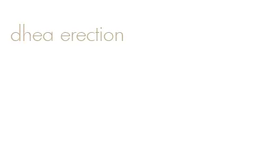 dhea erection