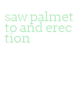 saw palmetto and erection