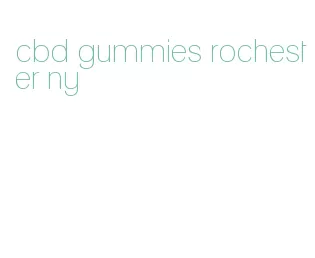 cbd gummies rochester ny