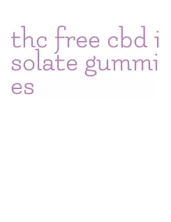 thc free cbd isolate gummies