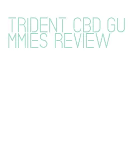 trident cbd gummies review