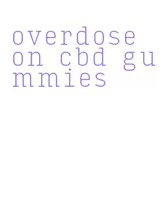 overdose on cbd gummies