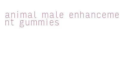 animal male enhancement gummies