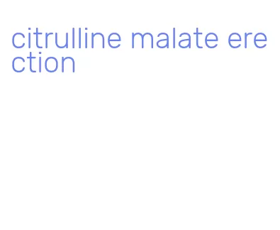 citrulline malate erection