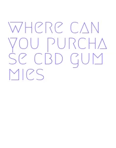 where can you purchase cbd gummies