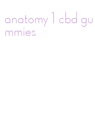 anatomy 1 cbd gummies