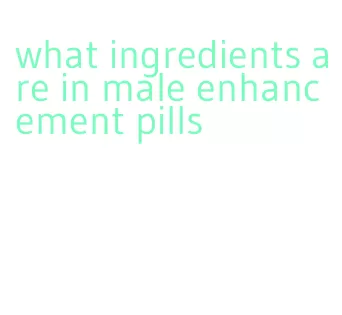 what ingredients are in male enhancement pills