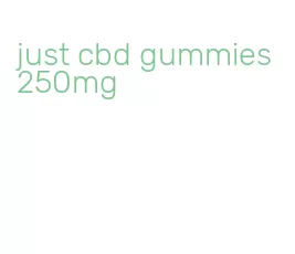 just cbd gummies 250mg