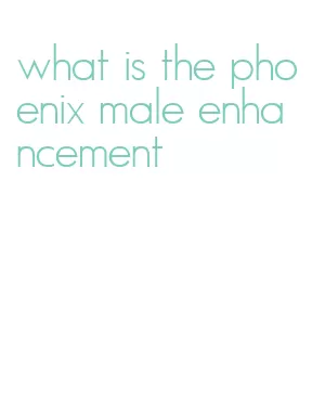 what is the phoenix male enhancement