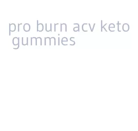 pro burn acv keto gummies