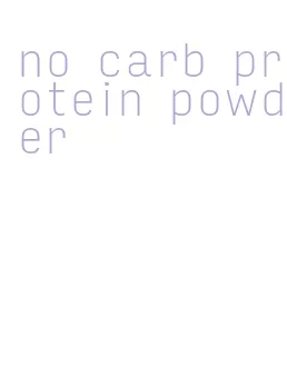 no carb protein powder