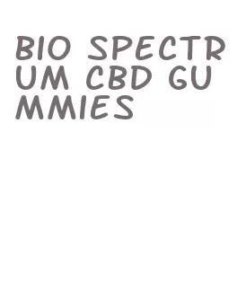 bio spectrum cbd gummies