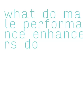 what do male performance enhancers do