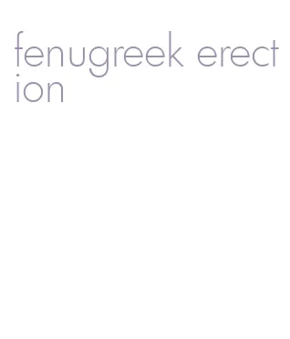 fenugreek erection