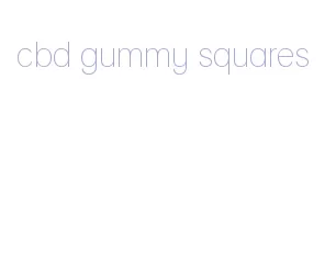 cbd gummy squares