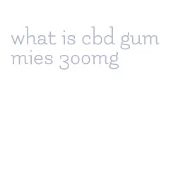 what is cbd gummies 300mg