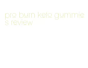 pro burn keto gummies review