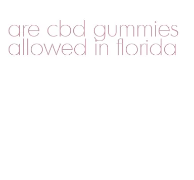 are cbd gummies allowed in florida