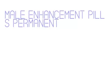 male enhancement pills permanent