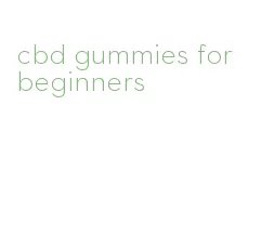 cbd gummies for beginners