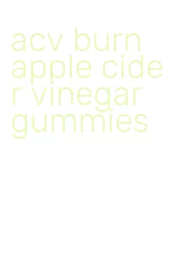 acv burn apple cider vinegar gummies