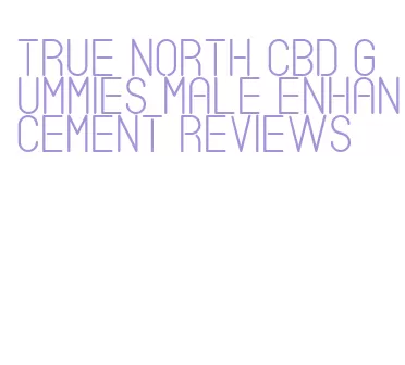 true north cbd gummies male enhancement reviews