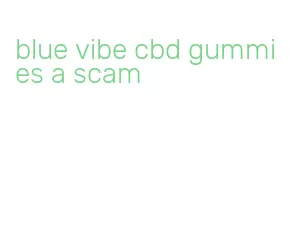 blue vibe cbd gummies a scam