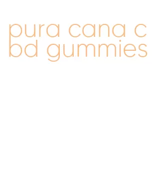 pura cana cbd gummies